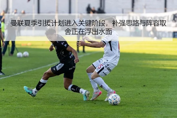 img_1781329812988_3_2_431.jpg
